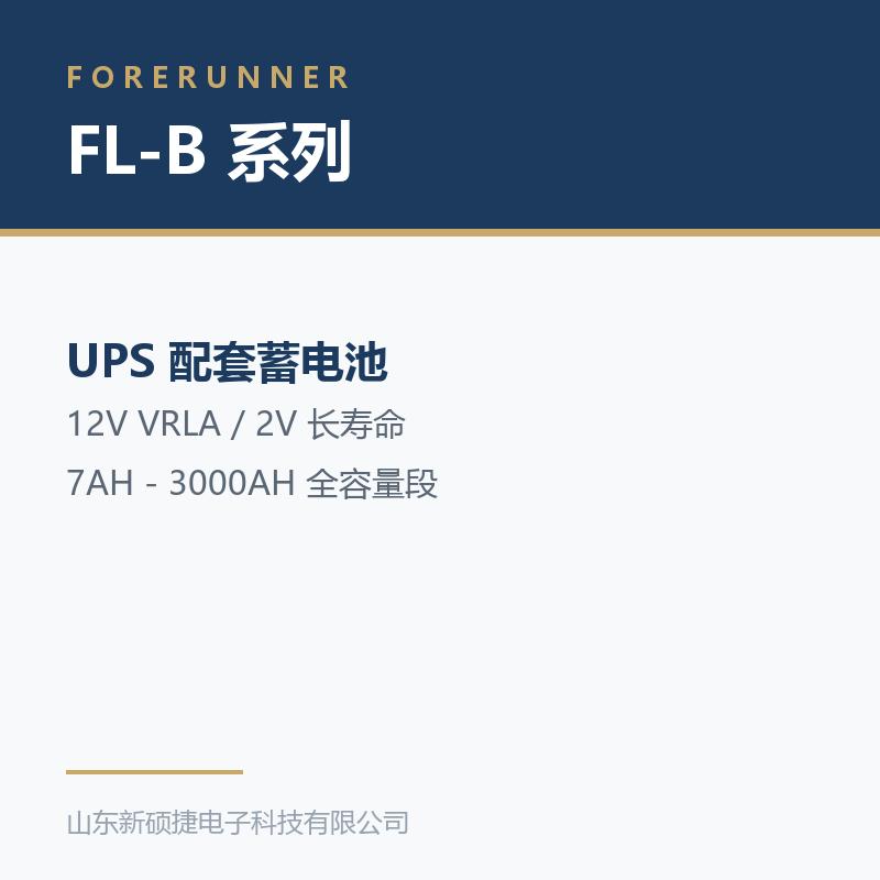 FL-B 系列 12V 阀控式铅酸蓄电池(淄博周村区UPS电源)