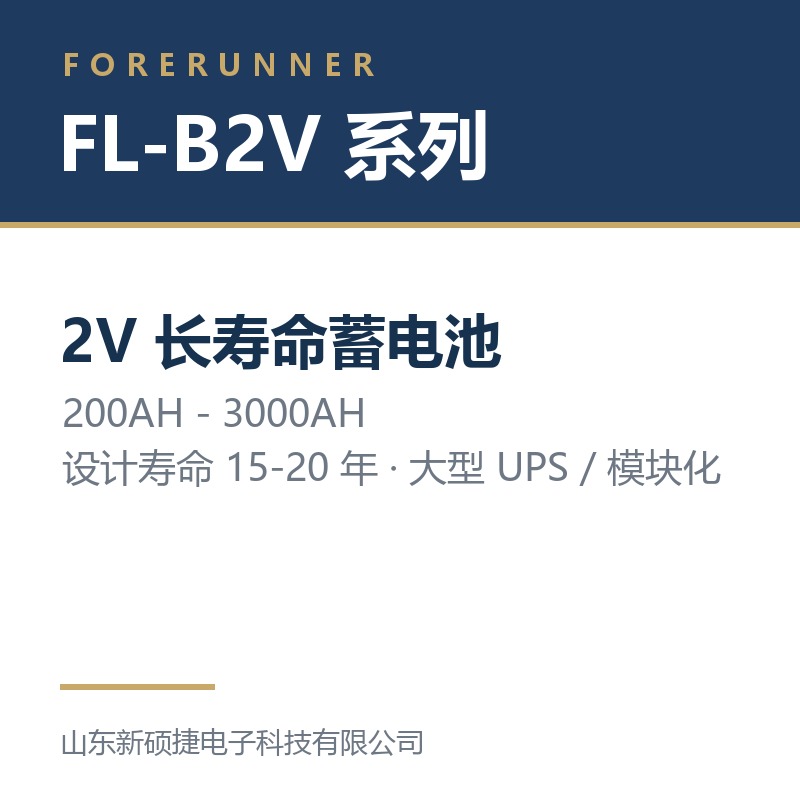 FL-B2V 系列 2V 长寿命蓄电池（淄博周村区UPS电源）